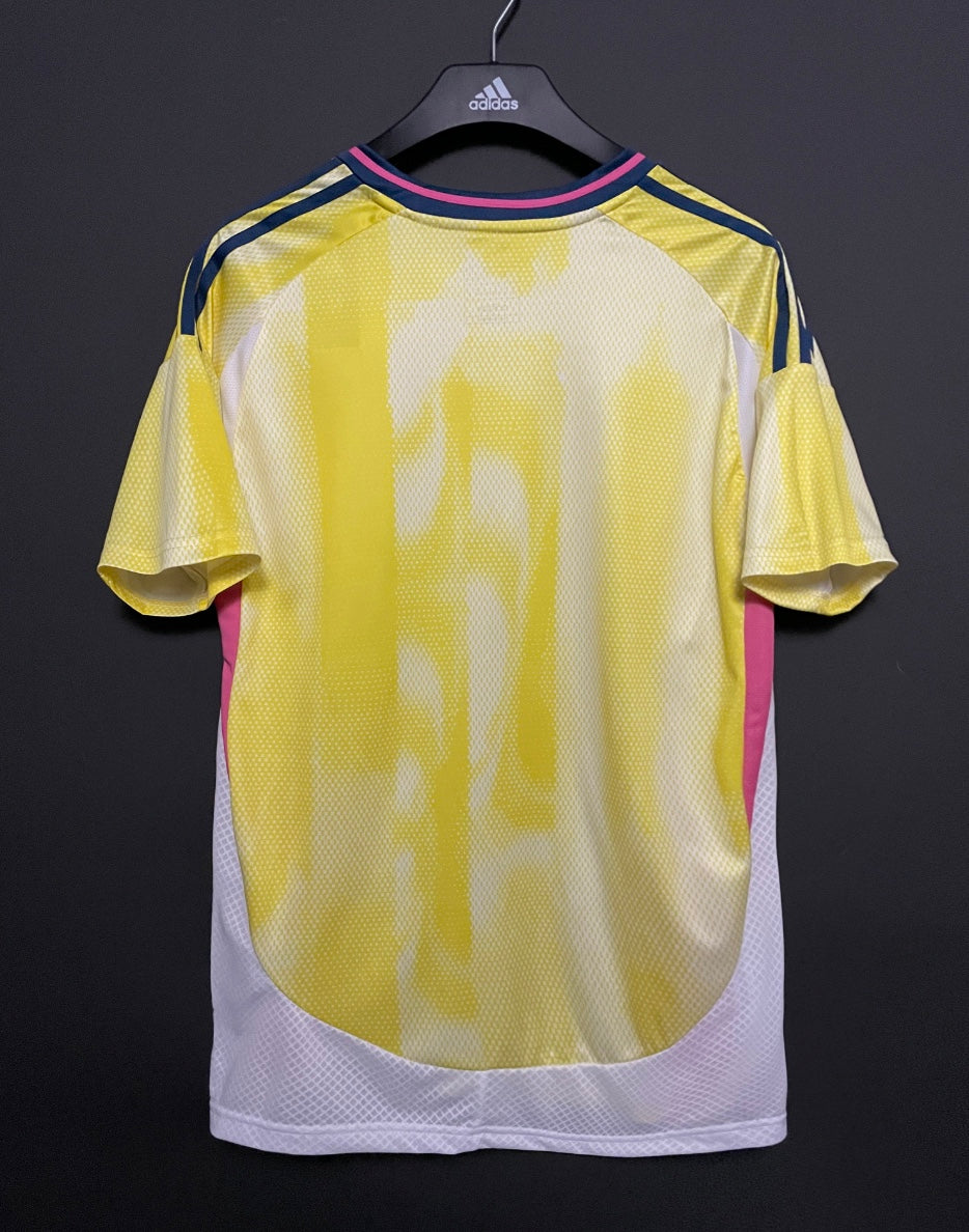 Juventus away 24/25