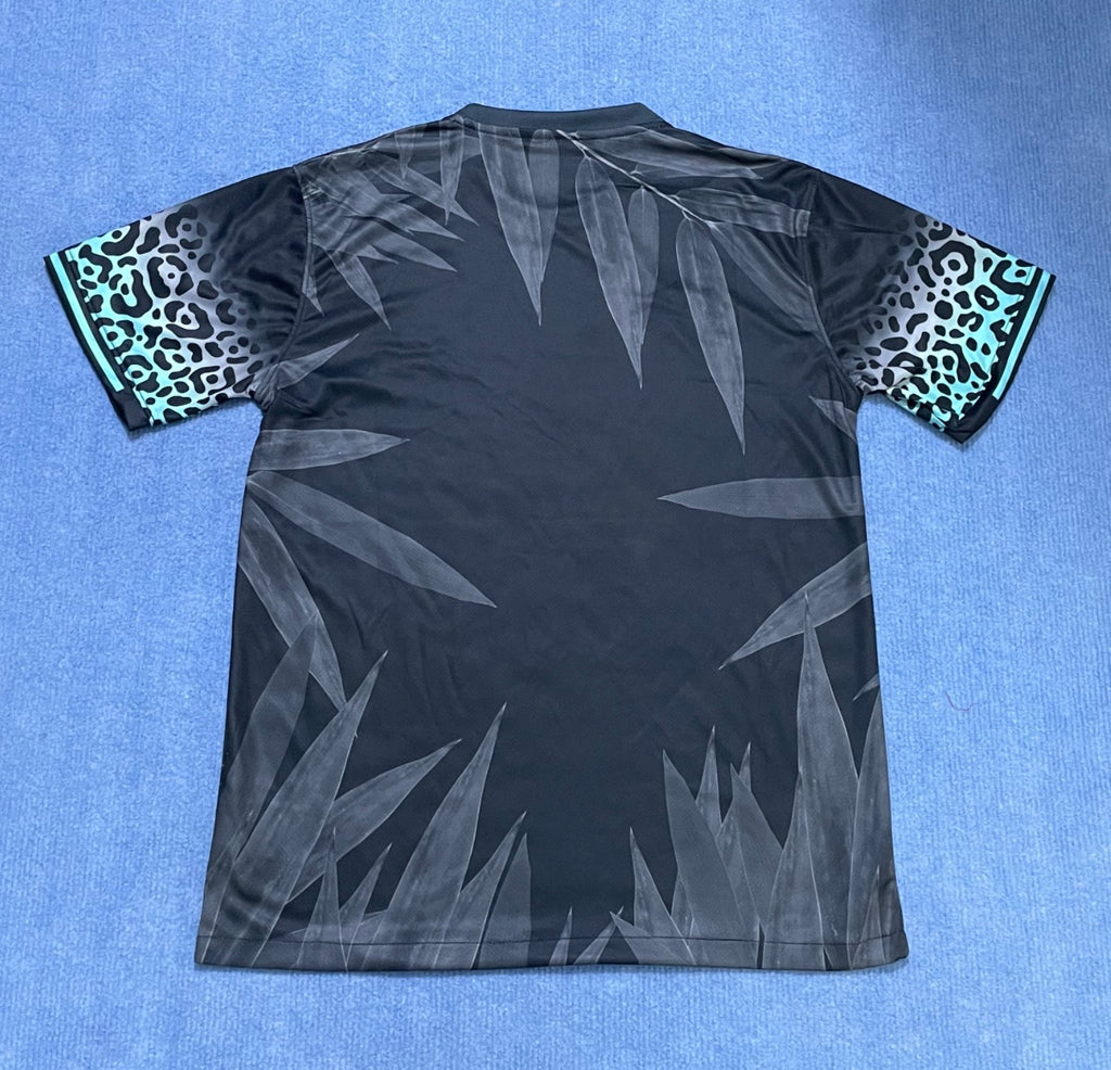 Brasilien ´christ the redeemer´ blue special