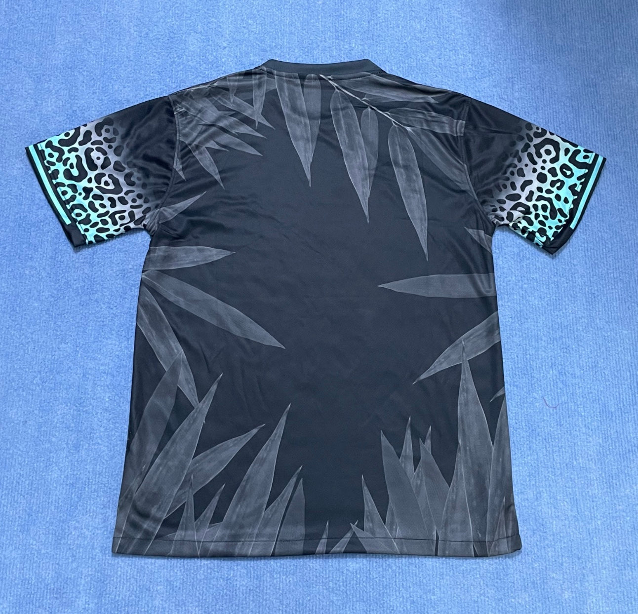 Brasilien ´christ the redeemer´ blue special